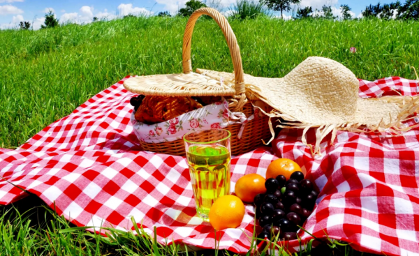piknik-na-prirode